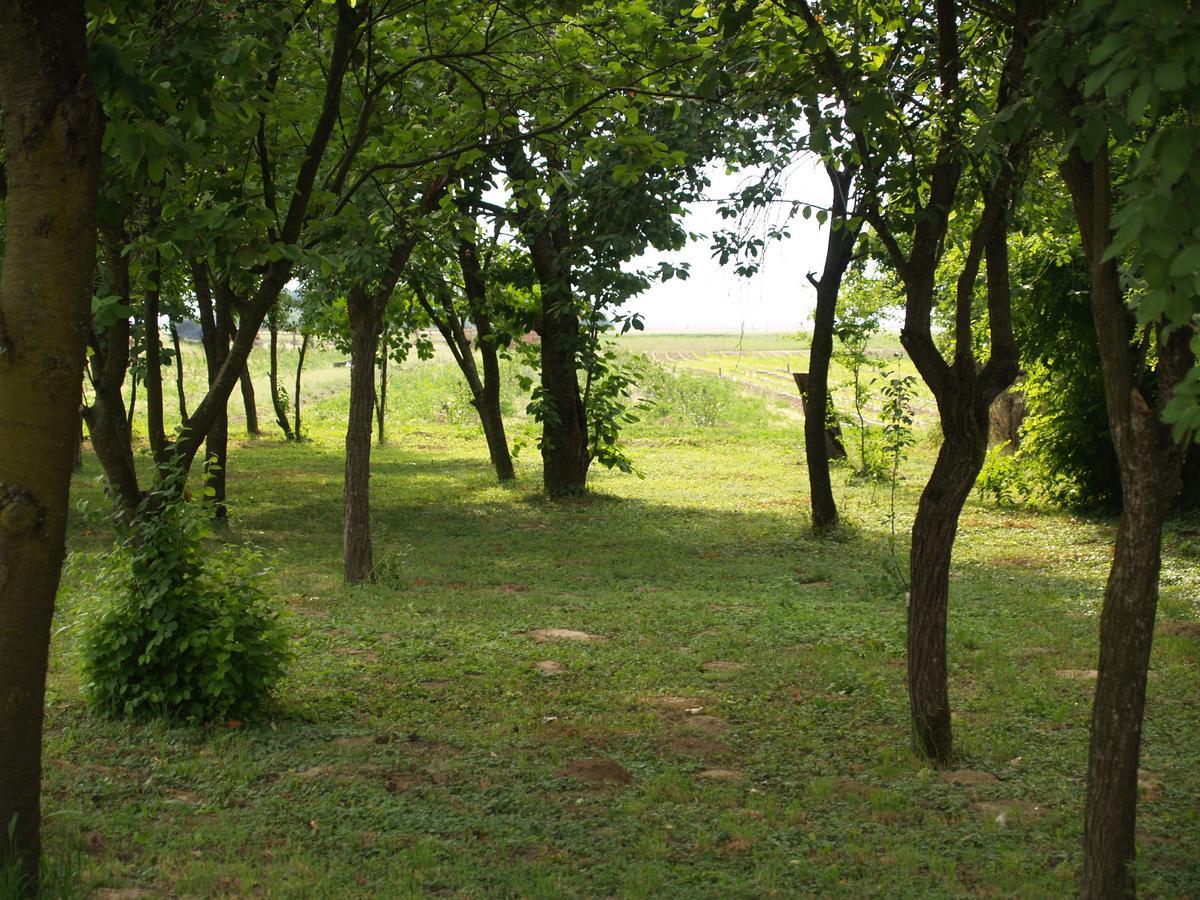 Pannonia Terranova Hotell Vardarac Exteriör bild